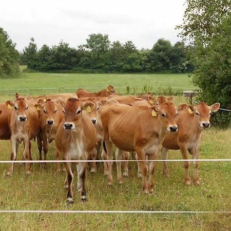Gite A La Ferme, Au Coeur Du Mene Laurenan Exterior foto