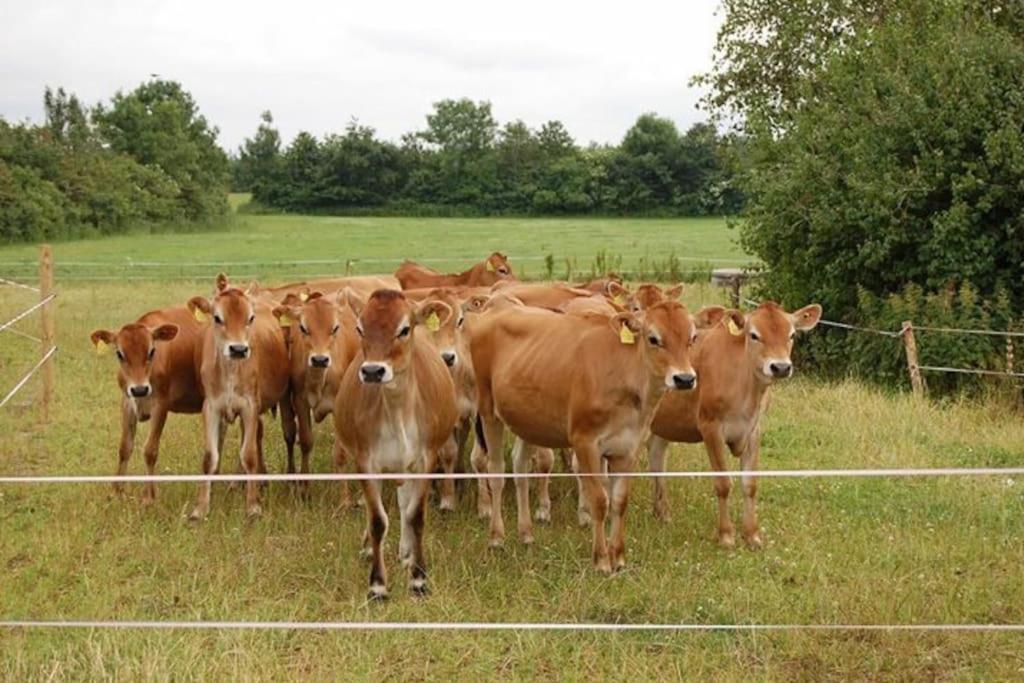 Gite A La Ferme, Au Coeur Du Mene Laurenan Exterior foto